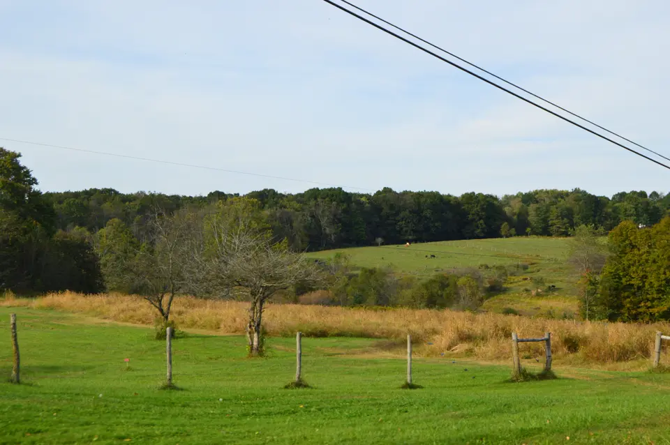 Mercer County