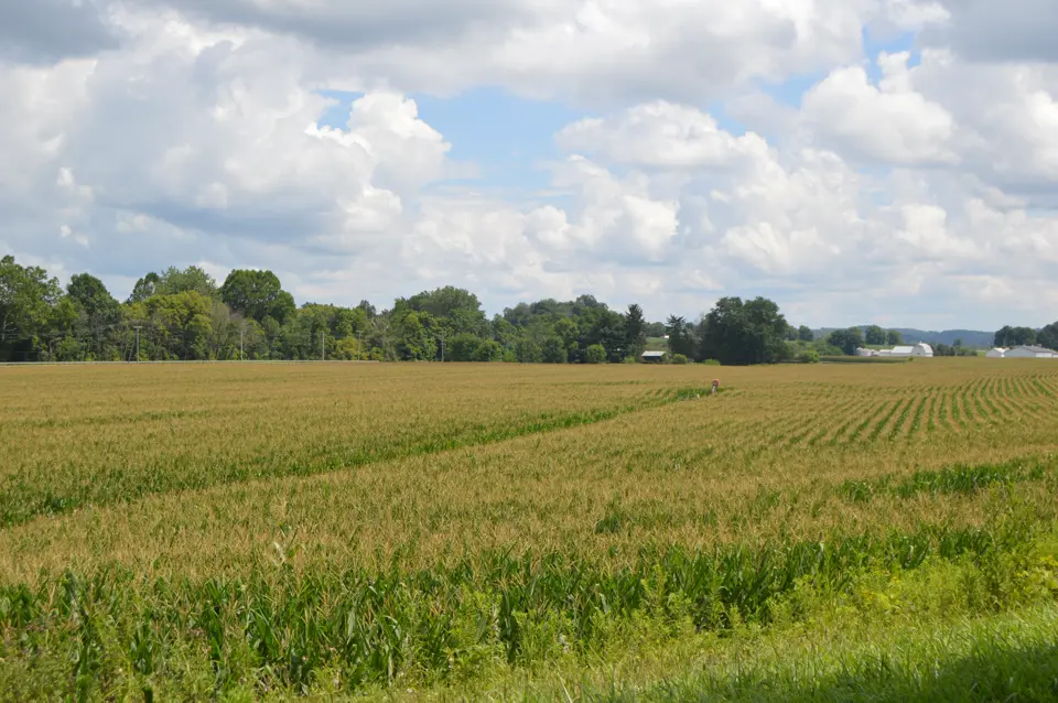Licking County
