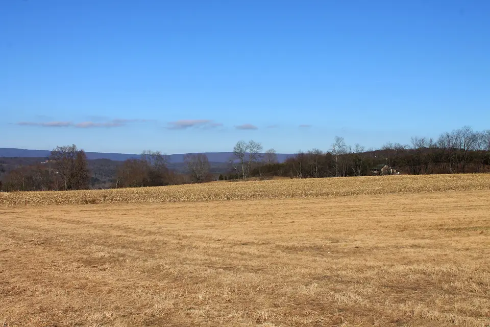 Luzerne County
