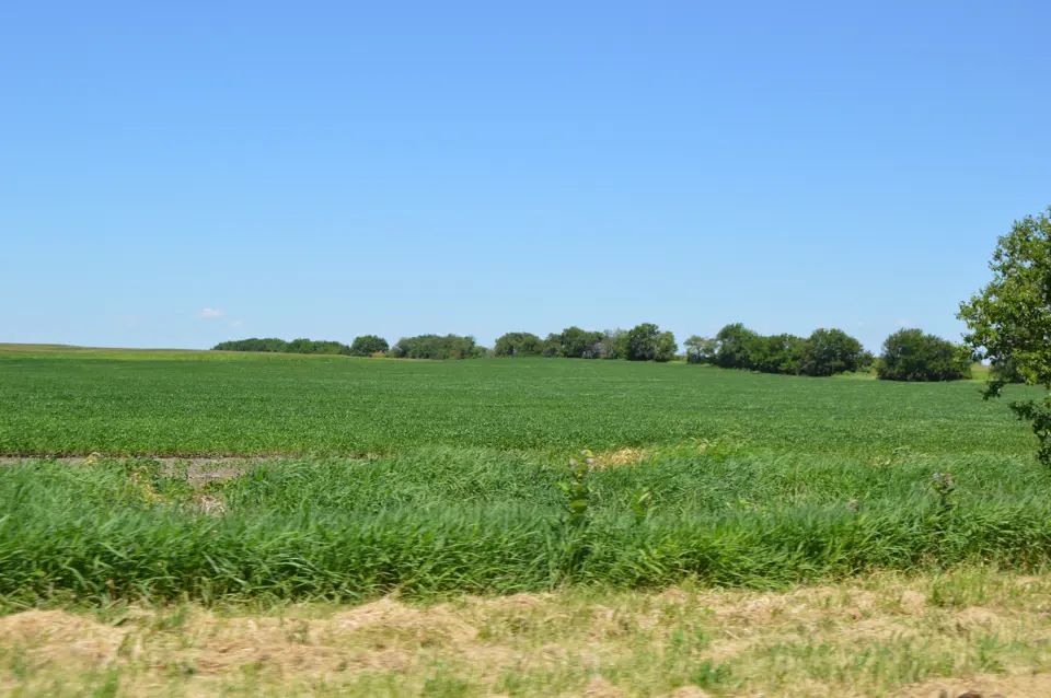 Iroquois County