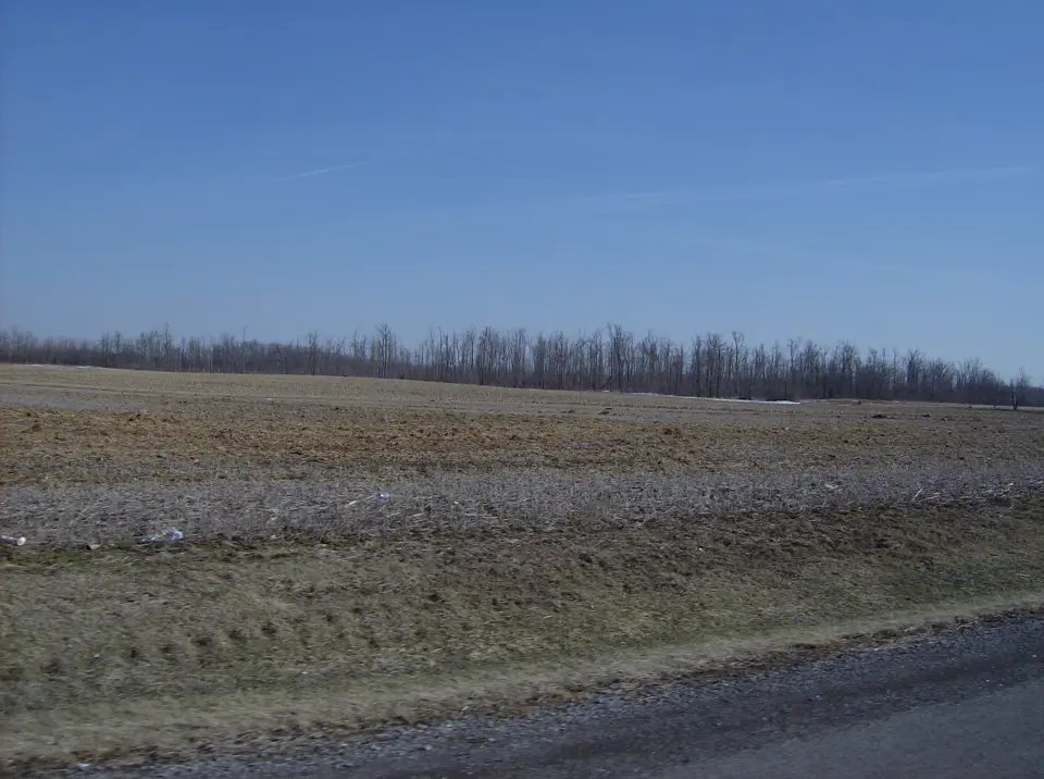 Logan County