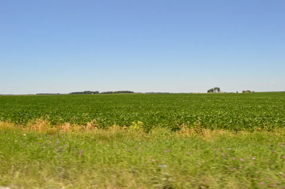 Iroquois County