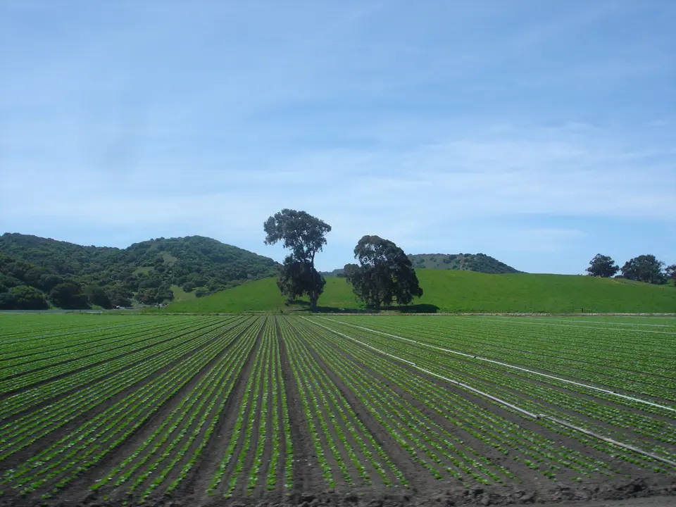 Monterey County