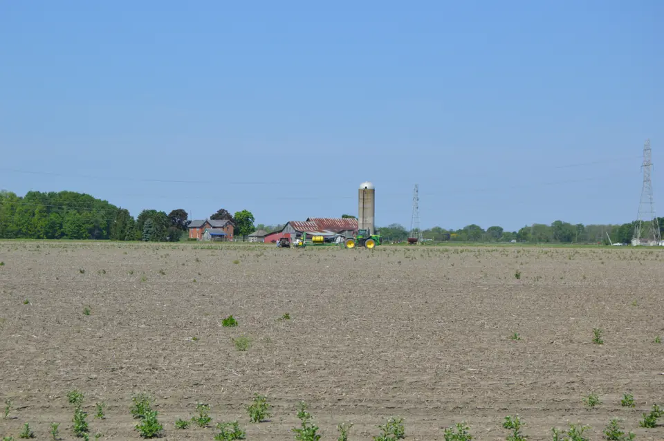 Wood County
