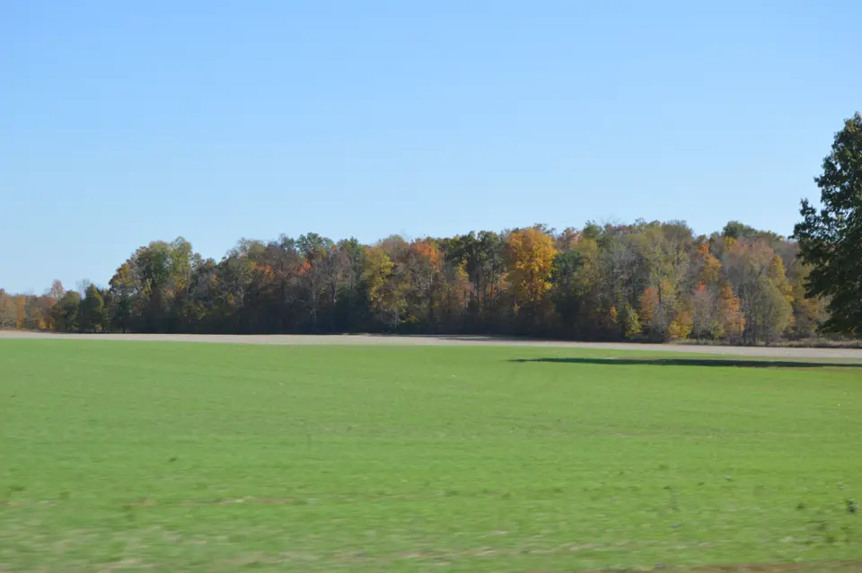 Wyandot County