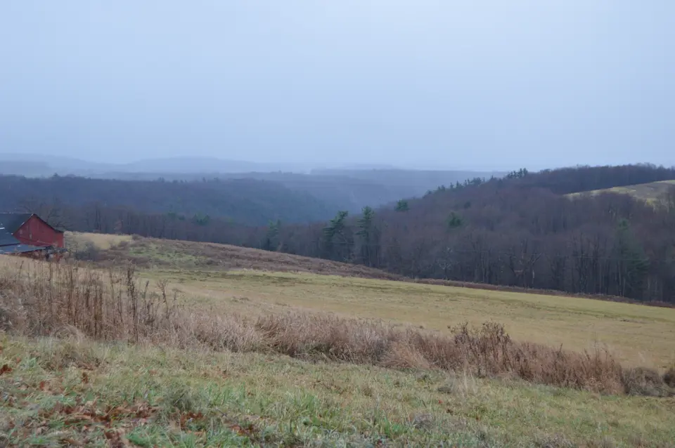 Clarion County