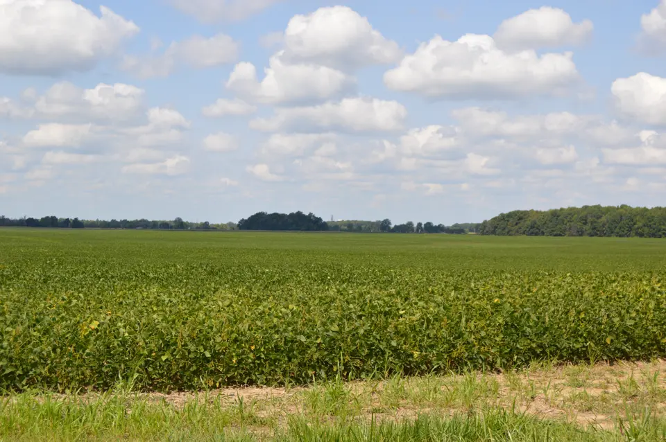 Marion County