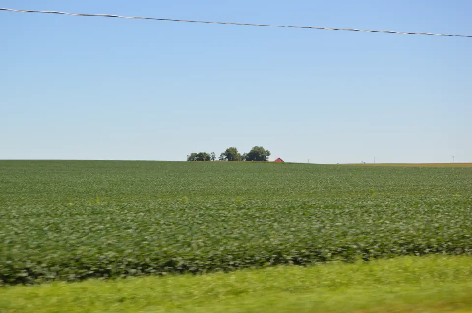 Woodford County