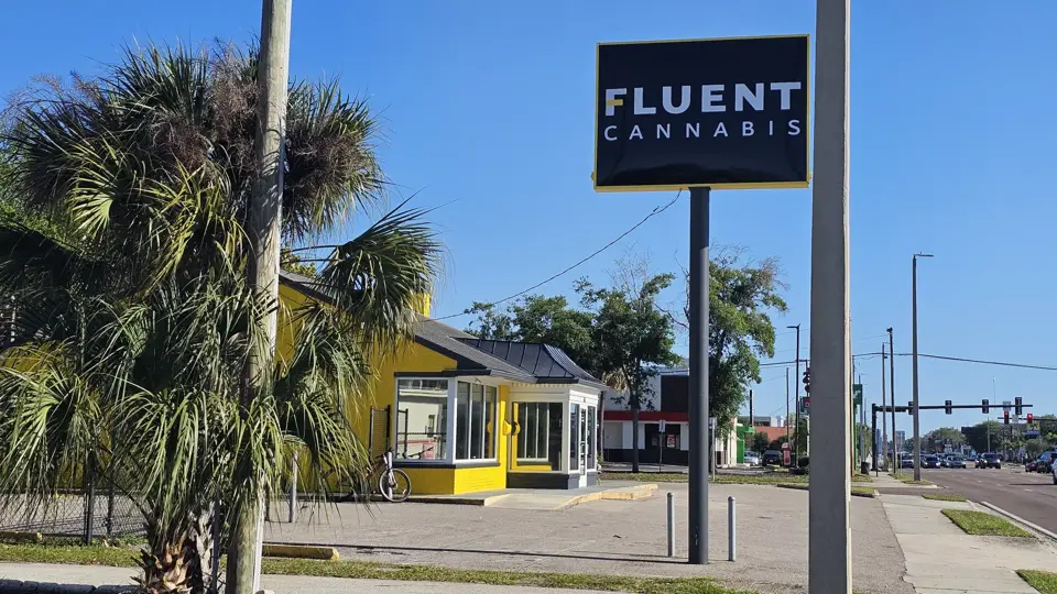 FLUENT Cannabis
