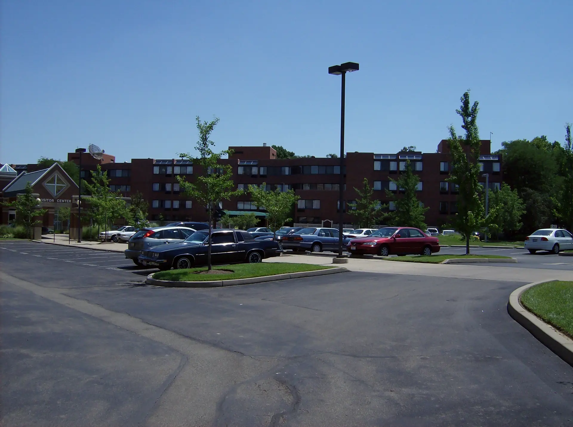 Springdale