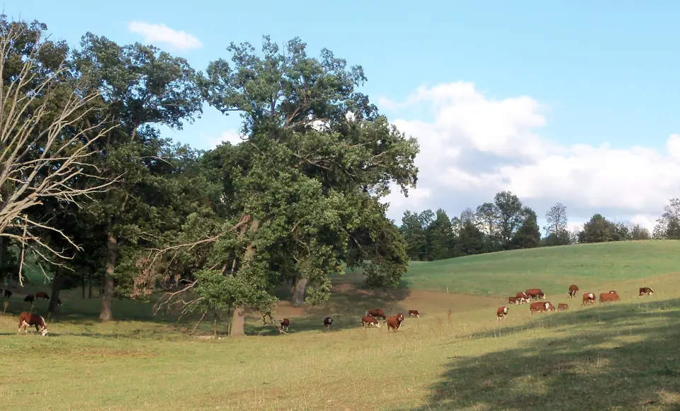 Carroll County