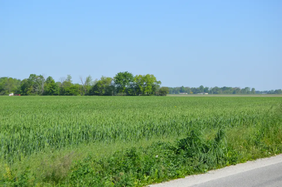 Wood County