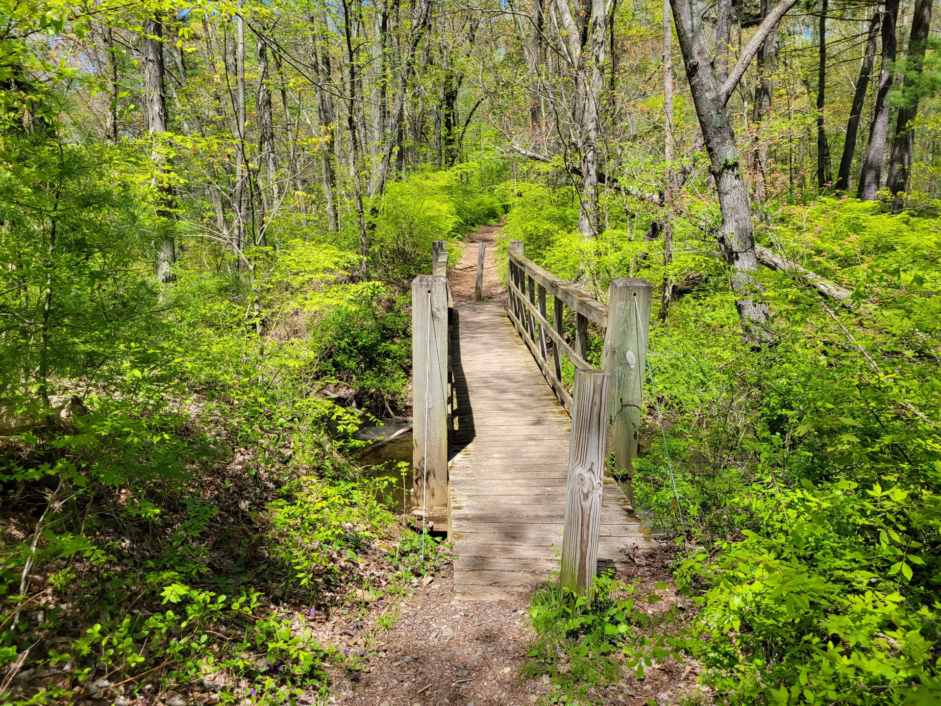 Tolland