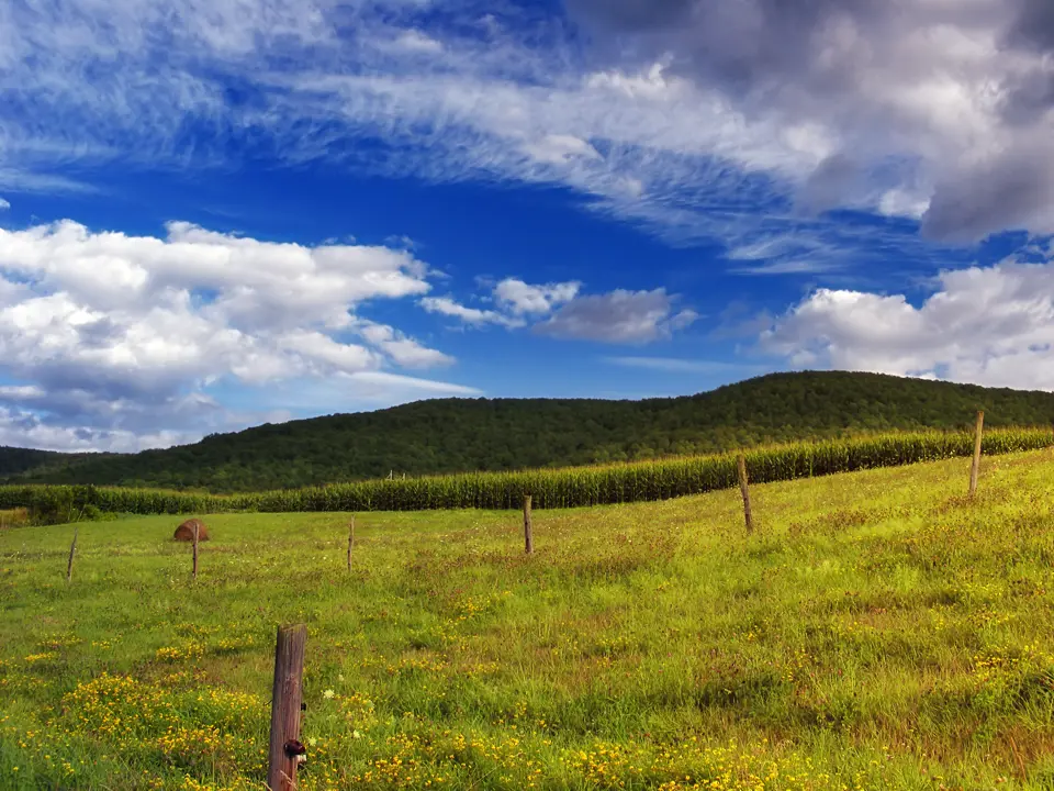 Tioga County