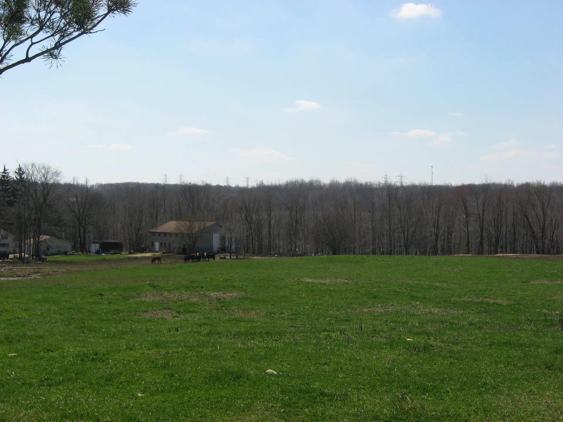 Elkrun