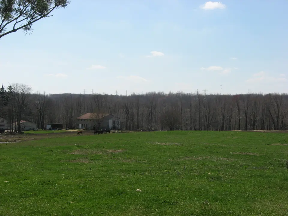Columbiana County