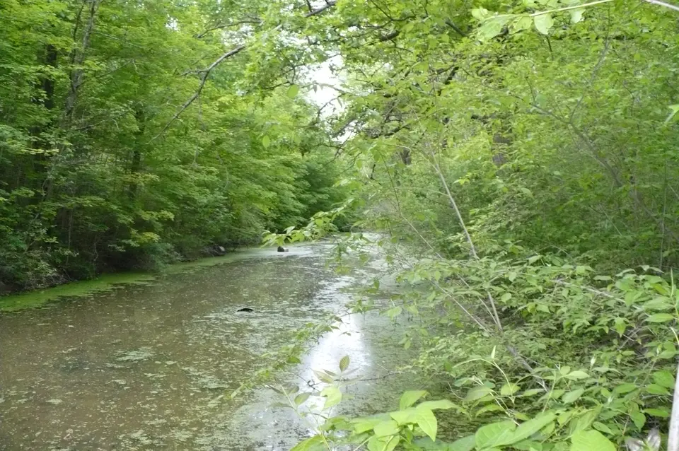 Auglaize County