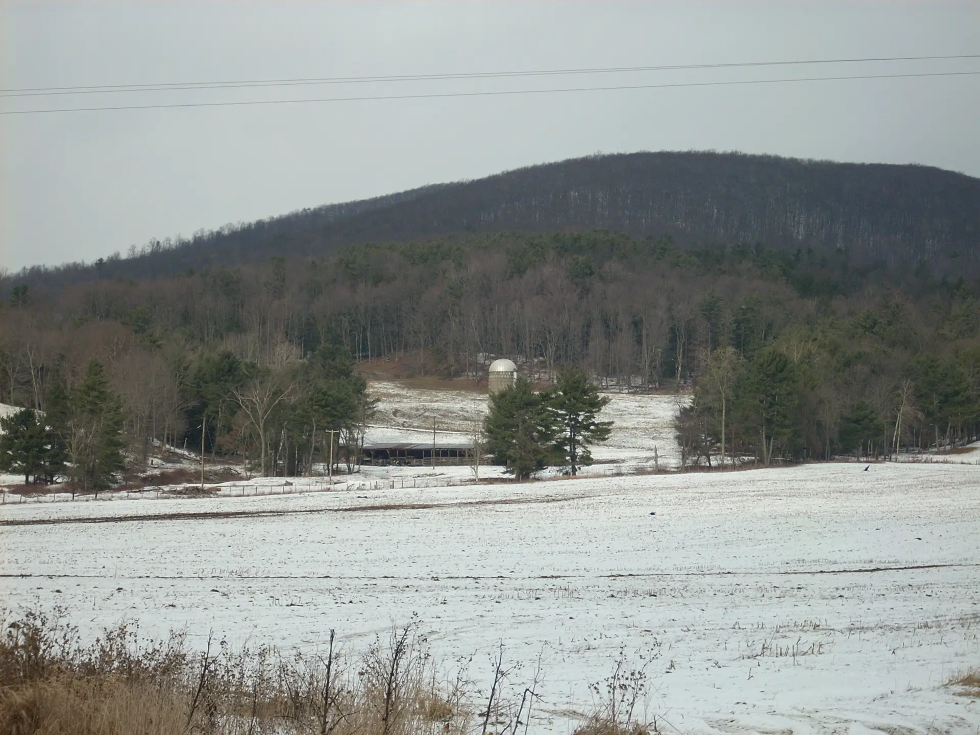 Deerfield