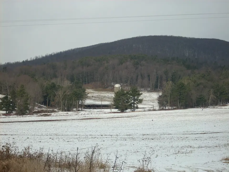 Tioga County