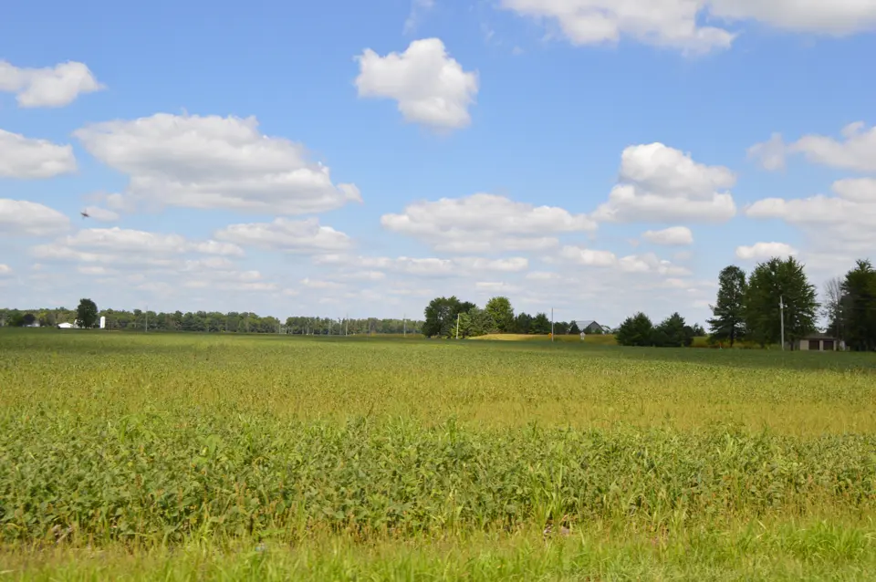 Marion County