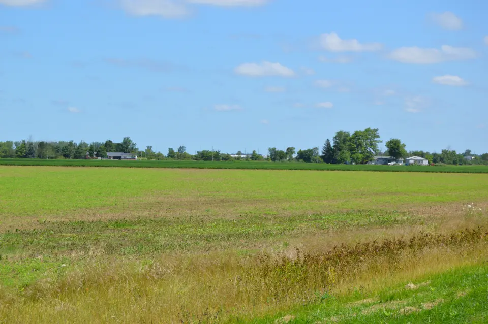 Henry County