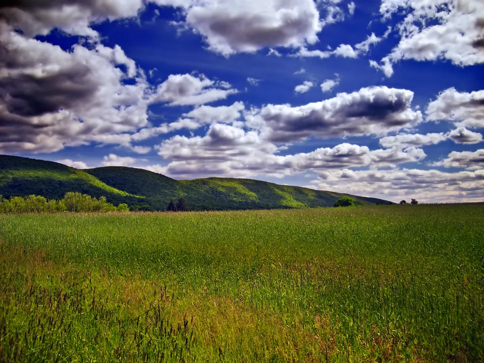 Monroe County
