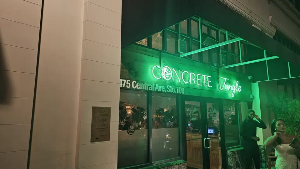 Concrete Jungle