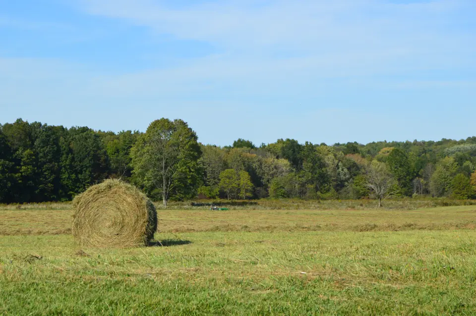 Mercer County