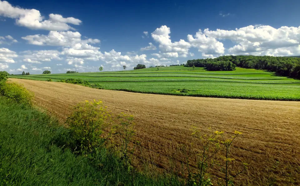 Snyder County