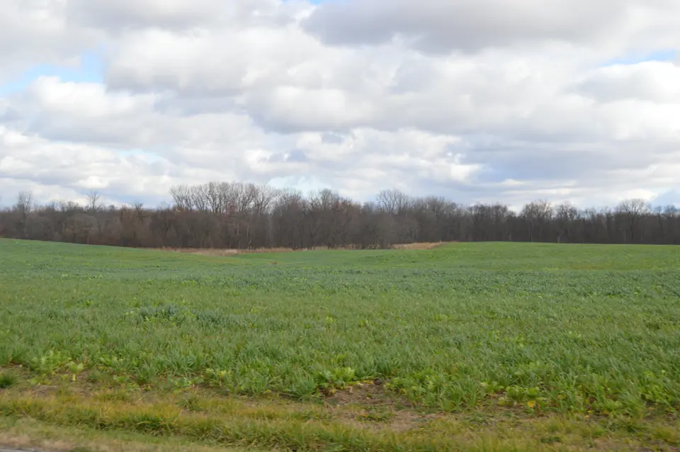 Williams County