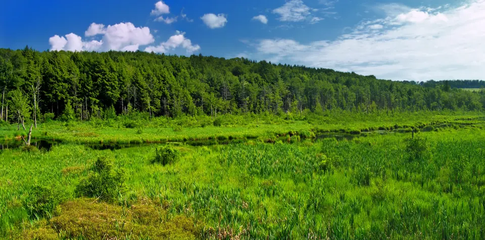 Susquehanna County
