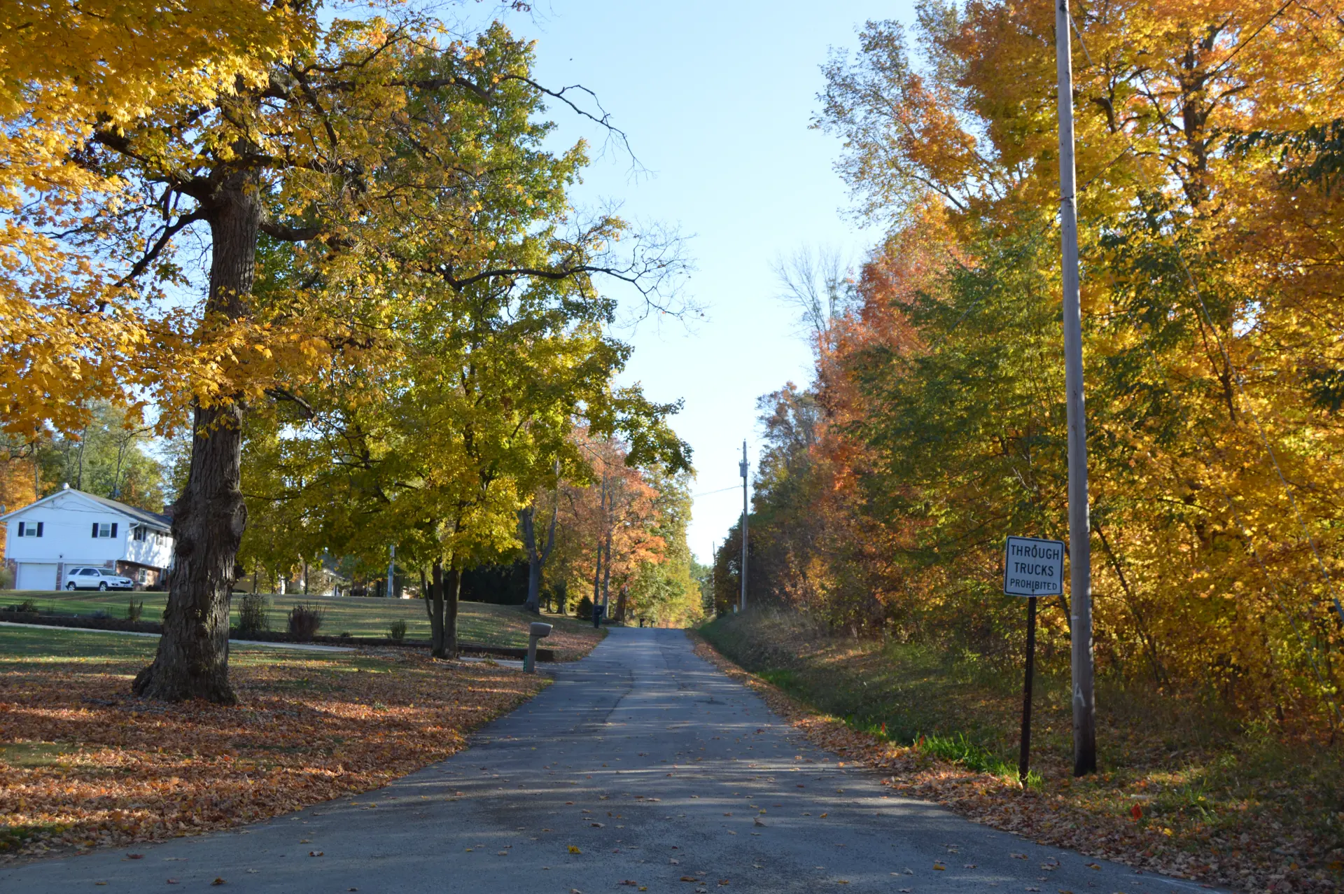 Franklin