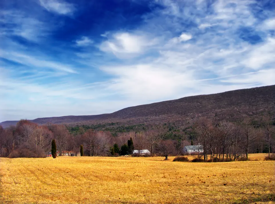 Monroe County