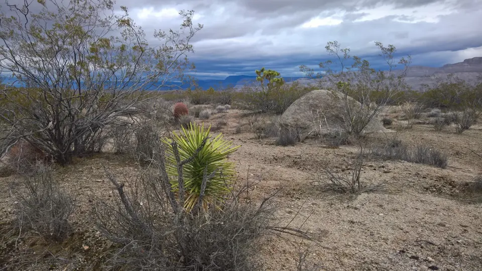 Mohave County
